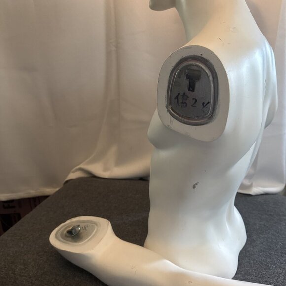 Male Mannequin Male Torso w Removable Arms Commercial Grade - Picture 6 of 8